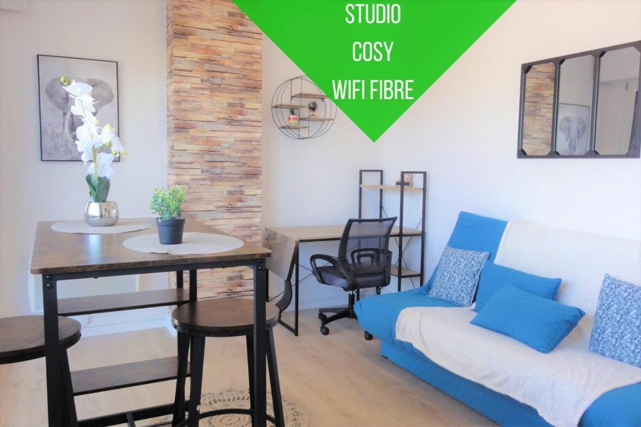 Appartement Cocon Palois Studio Cosy Dernier Etage Wifi Fibre à Pau Extérieur photo